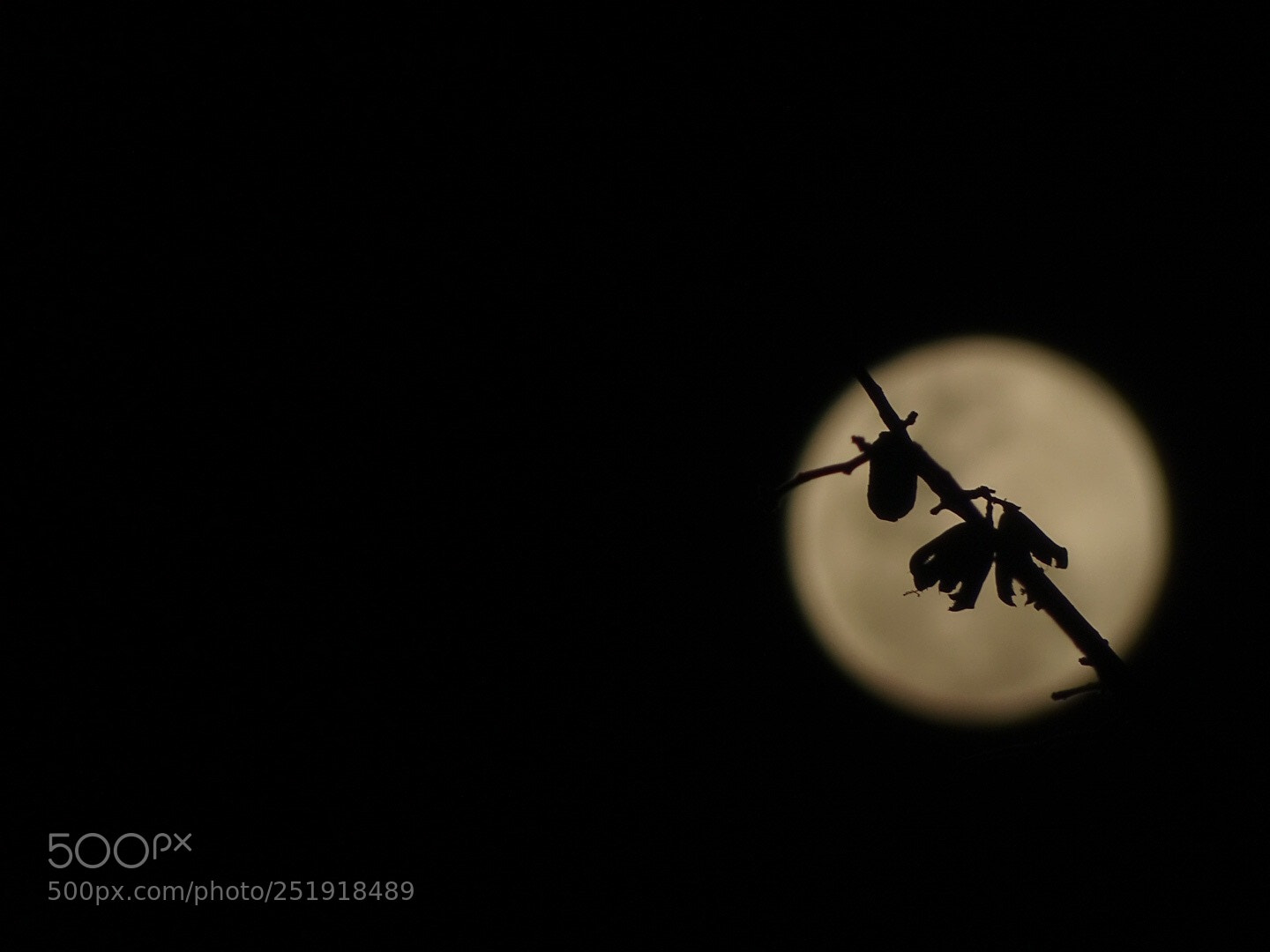 Sony Cyber-shot DSC-HX400V sample photo. Moonage.  photography