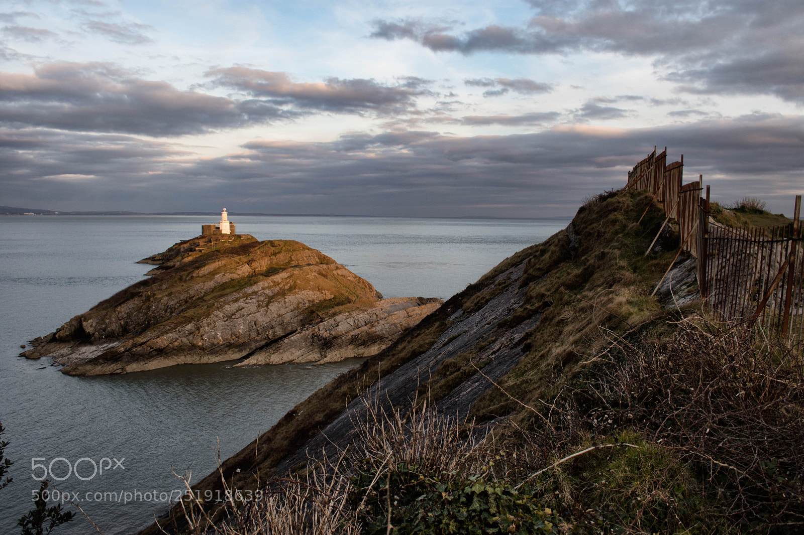 Nikon D7200 sample photo. Mumbles photography