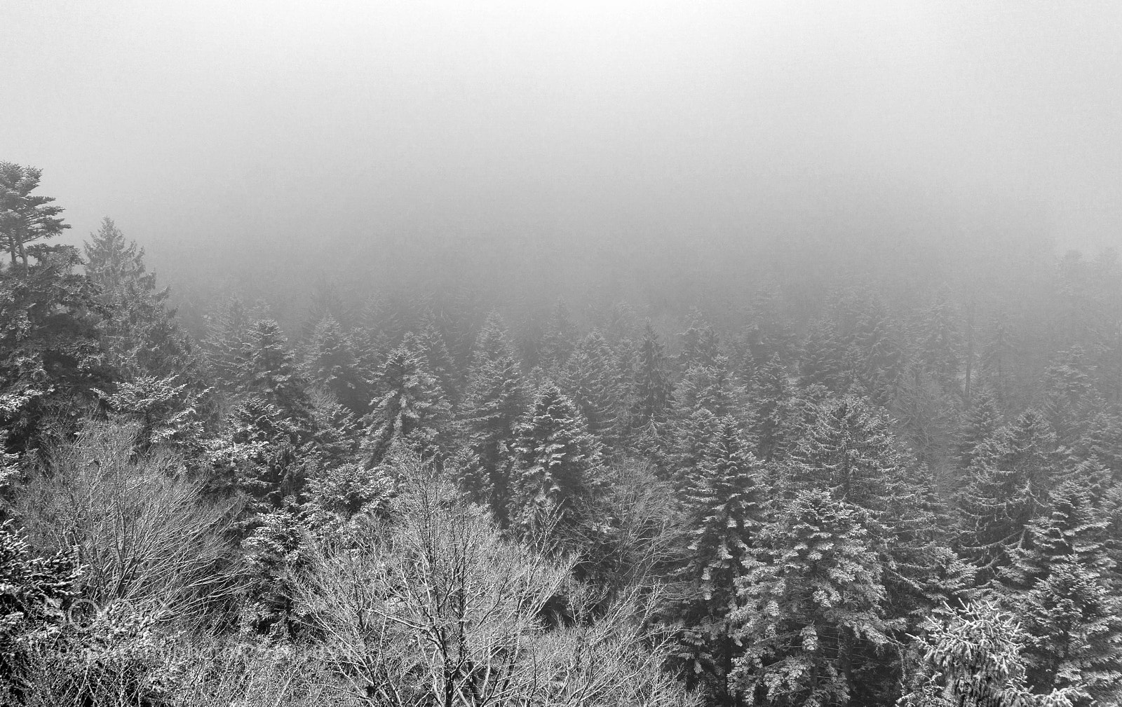 Sony a6000 sample photo. Winter photography