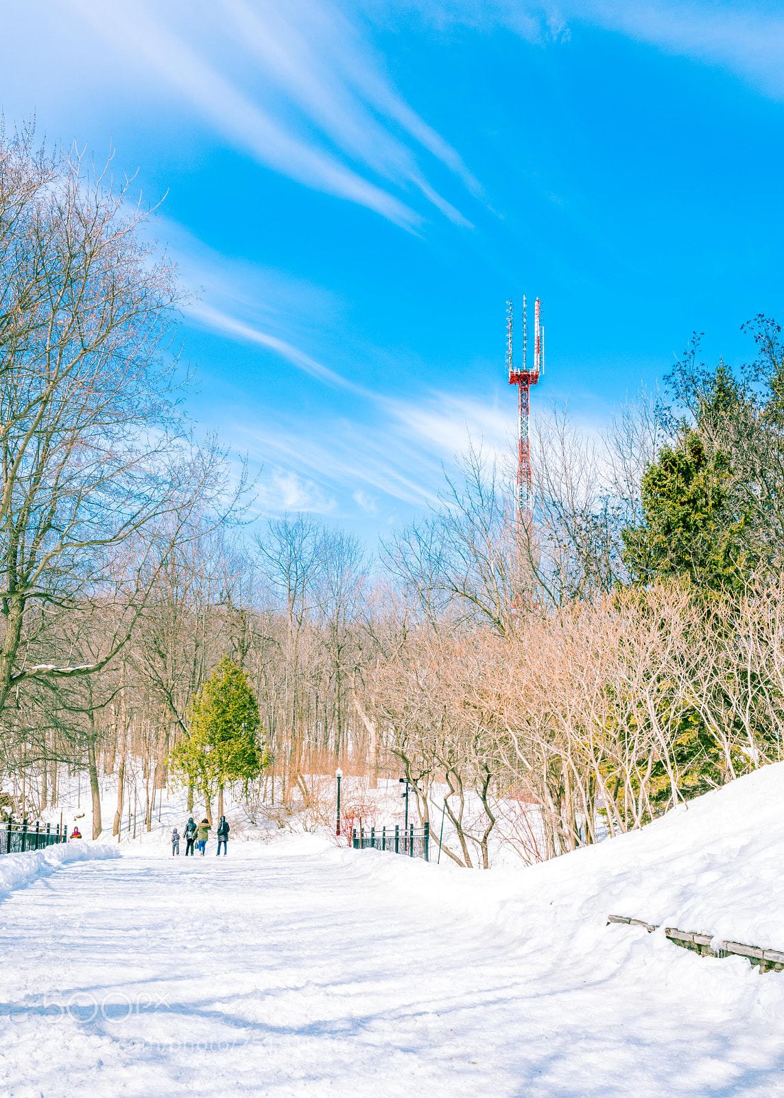 Nikon D810 sample photo. Sunny day photography