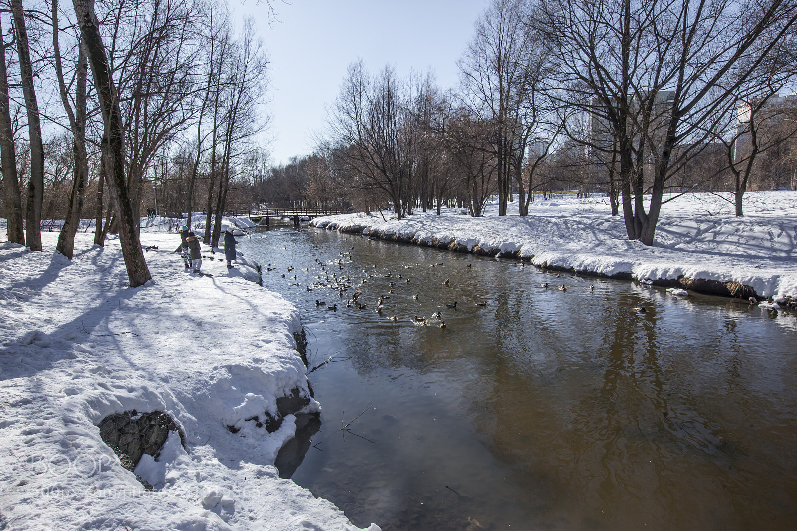 Canon EOS 5D Mark II sample photo. Весенняя Яуза photography