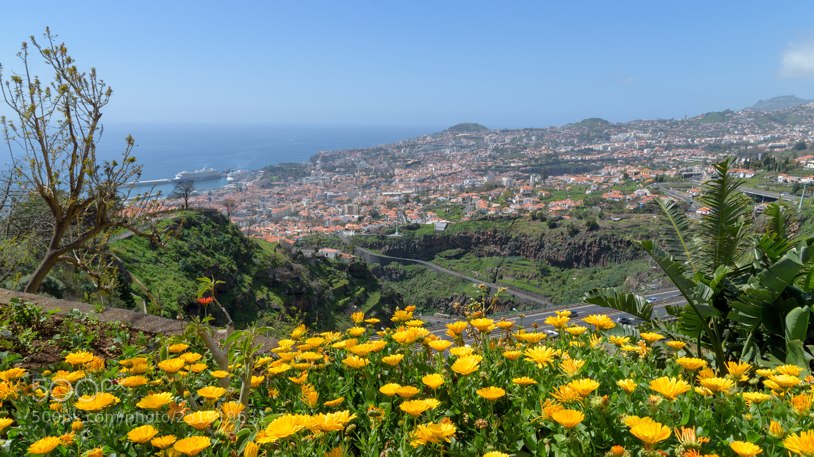 Nikon D750 sample photo. Madeira, view from funchal photography