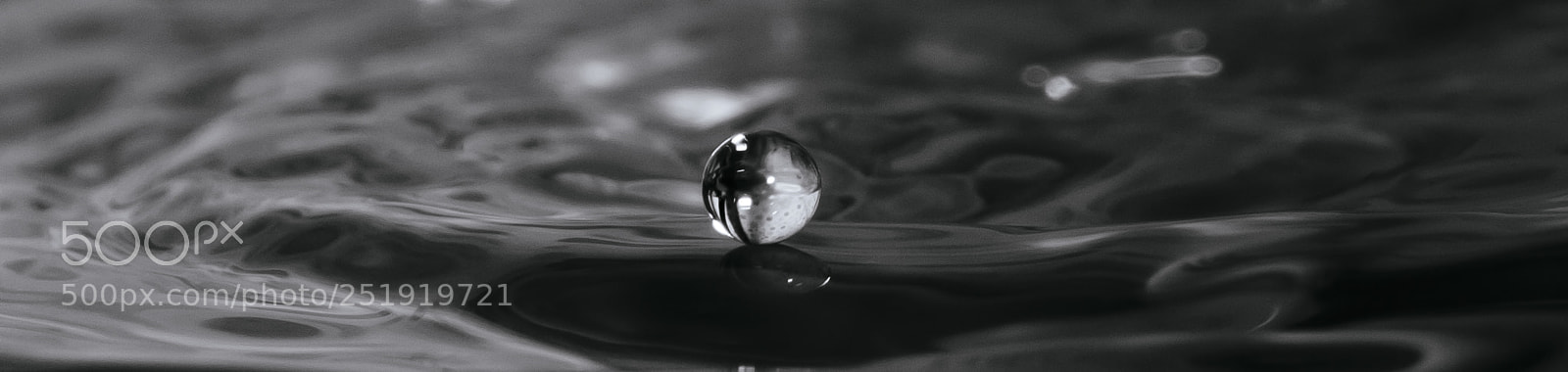Nikon D3200 sample photo. A fleeting moment of photography