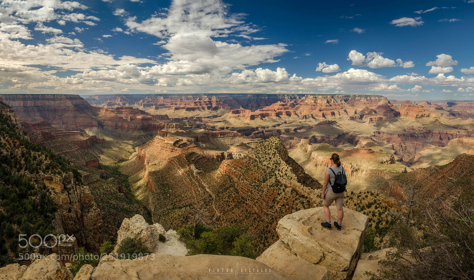 Nikon D7000 sample photo. The view photography