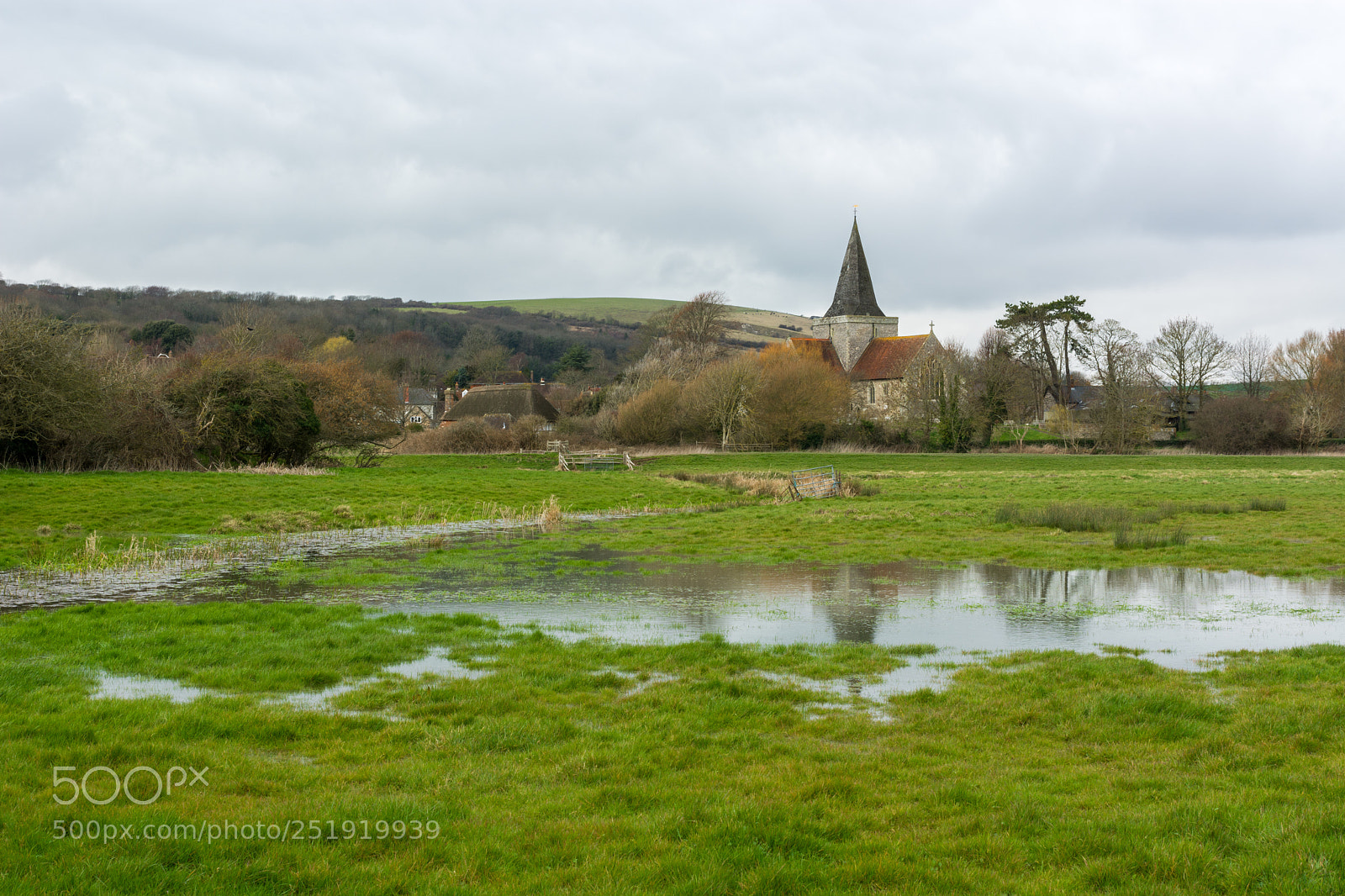 Nikon D7100 sample photo. Reflective flooding photography