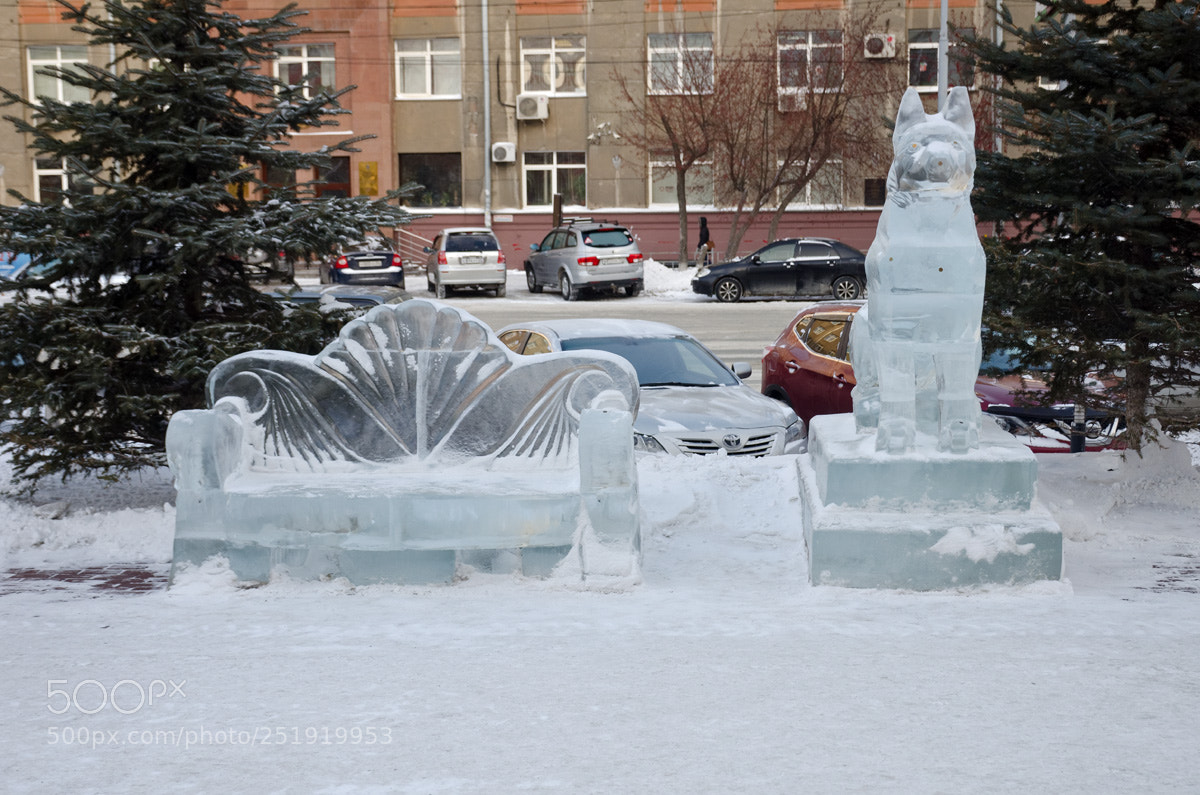 Nikon D7000 sample photo. Скамейка и пёсик photography