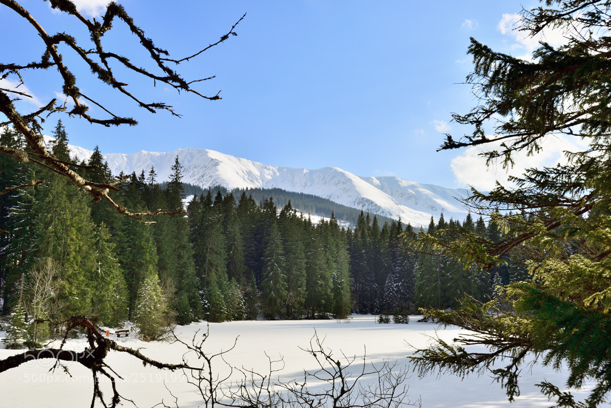 Nikon D610 sample photo. Glacier lake photography