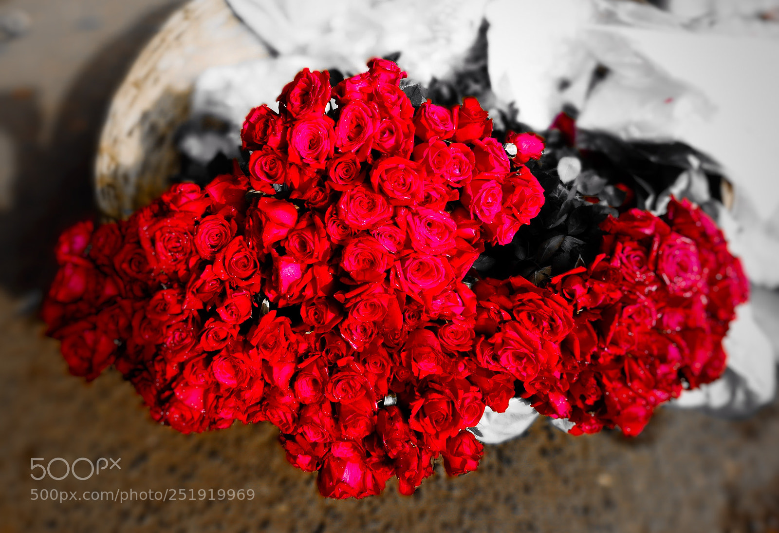 HUAWEI honor 6x sample photo. Color of love photography