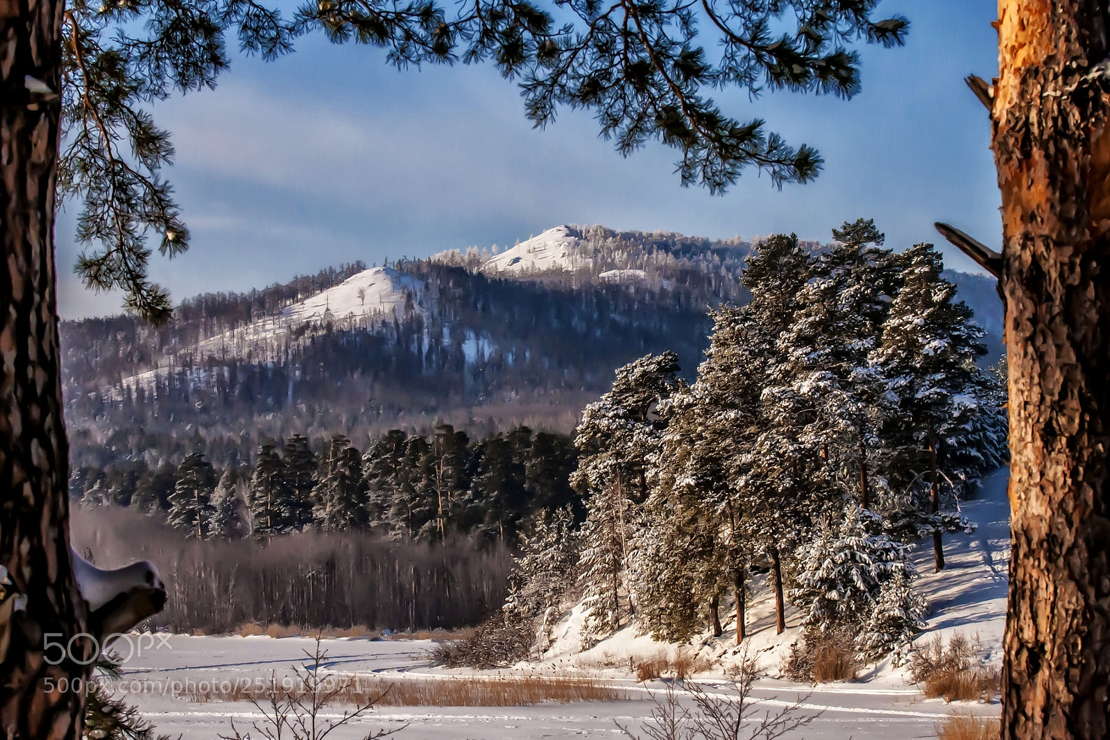 Nikon D300S sample photo. Winter window photography