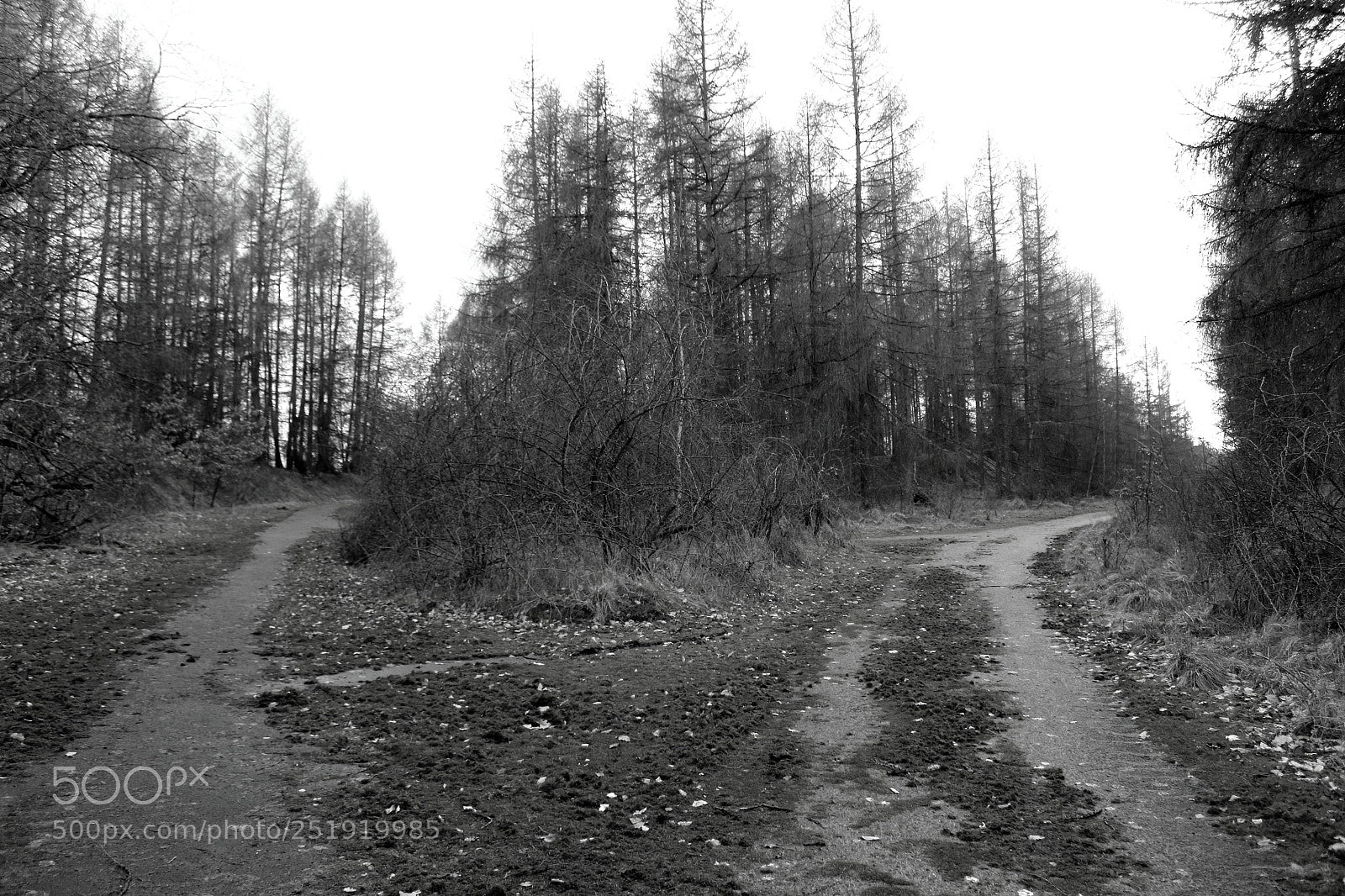 Canon EOS 1300D (EOS Rebel T6 / EOS Kiss X80) sample photo. To nowhere land photography