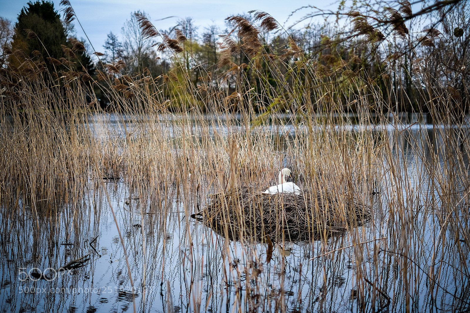 Fujifilm X-E3 sample photo. Care photography