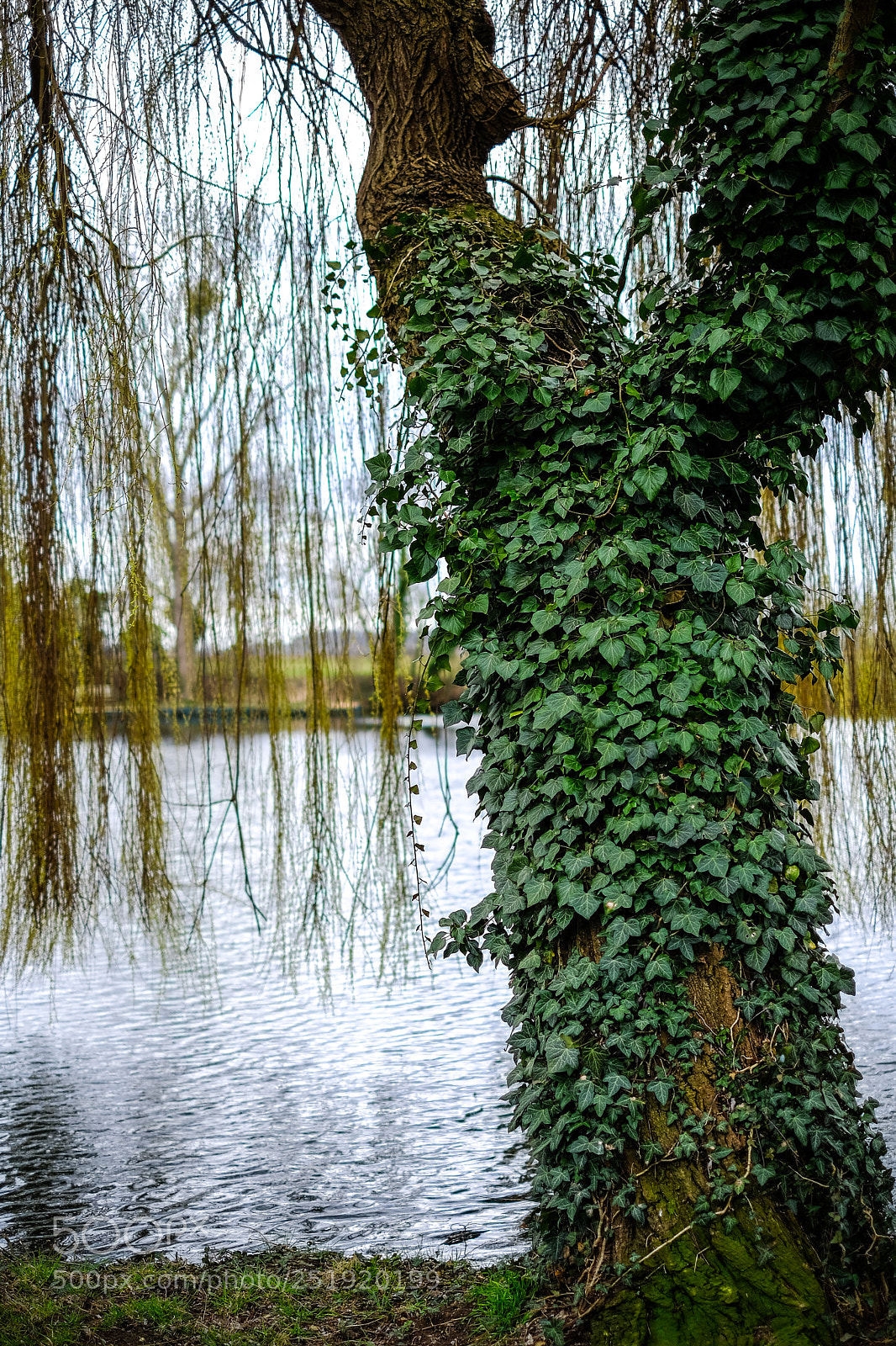Fujifilm X-E3 sample photo. Taking over photography