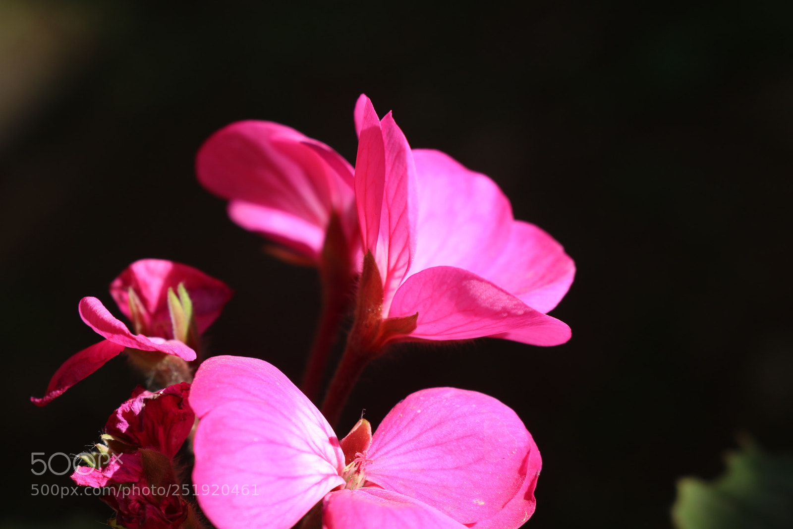 Canon EOS 750D (EOS Rebel T6i / EOS Kiss X8i) sample photo. Untitled photography