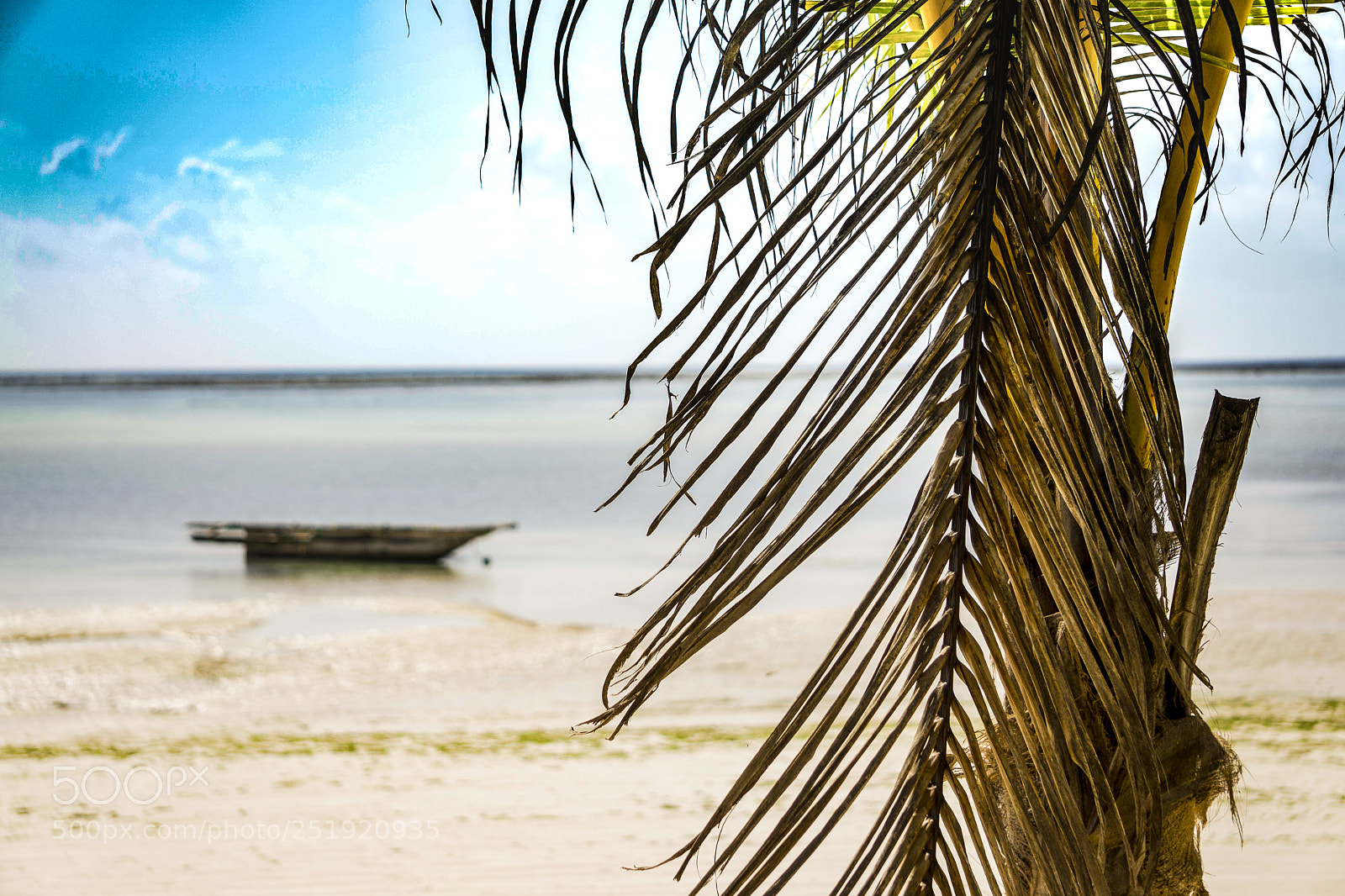 Sony a6000 sample photo. Idyllic beach photography