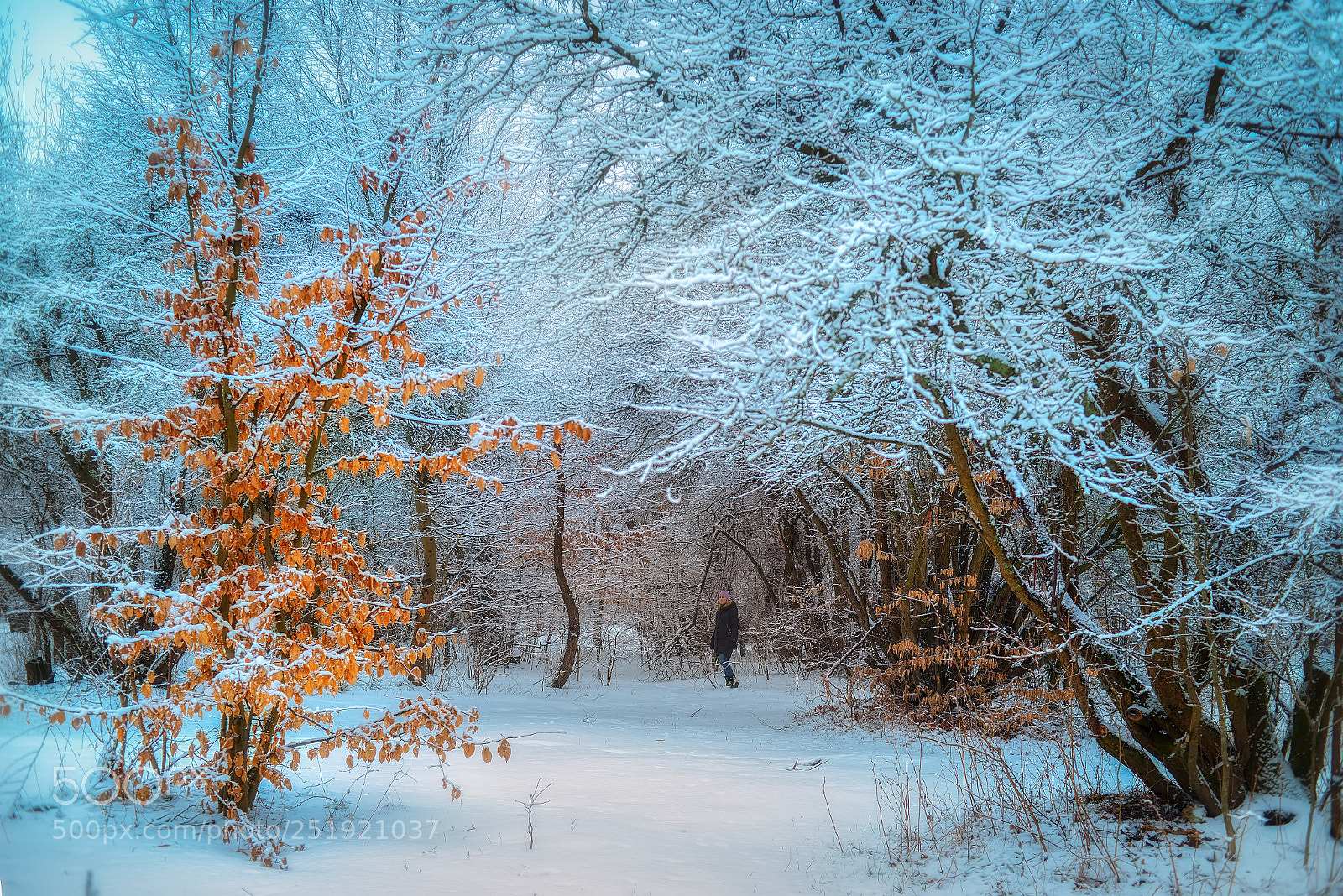 Nikon D800E sample photo. Morning photography