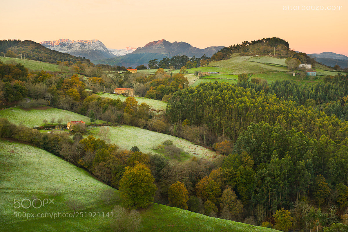 Nikon D4 sample photo. Cantabria photography
