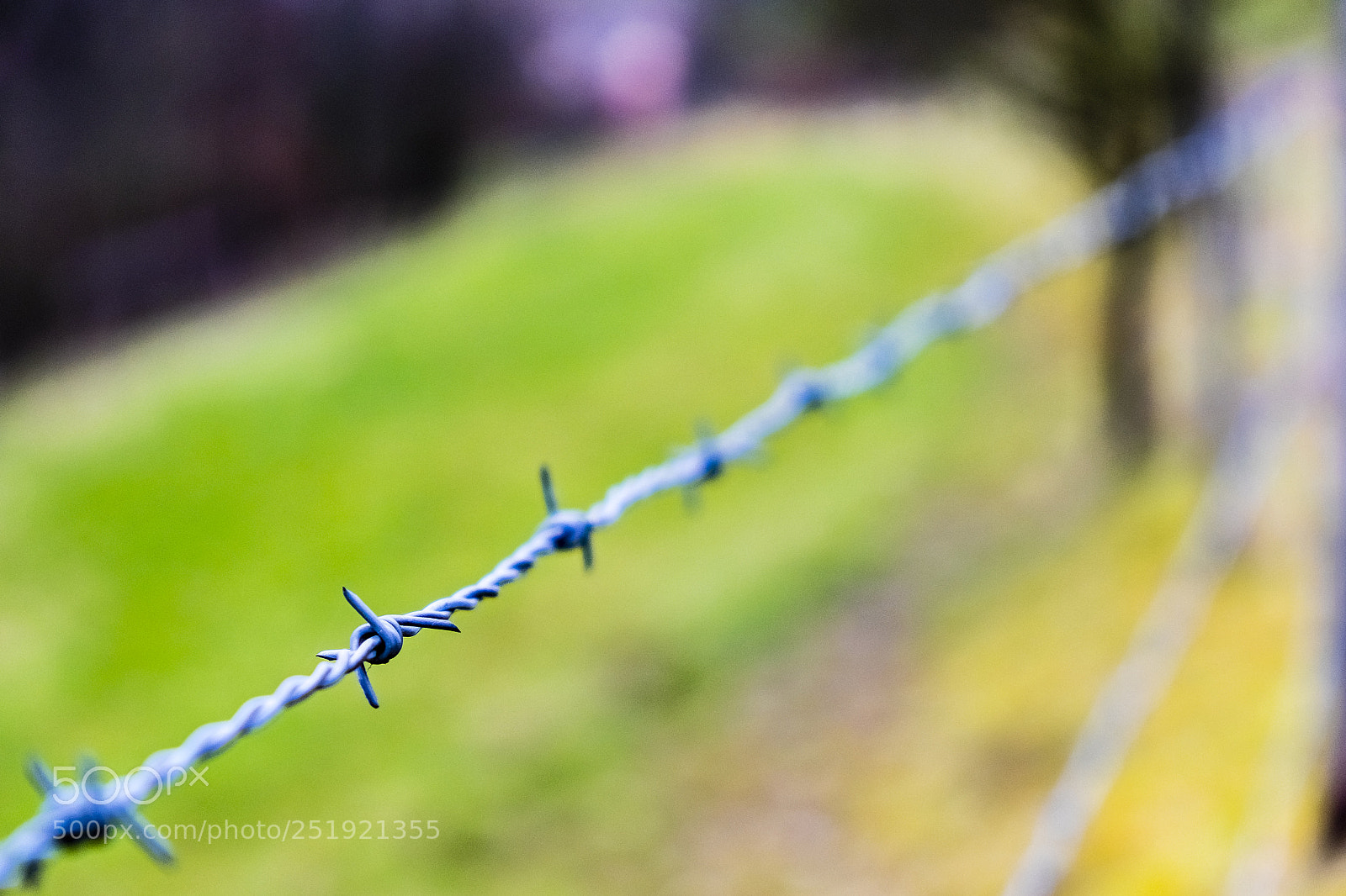 Fujifilm X-T1 sample photo. The barb wire photography