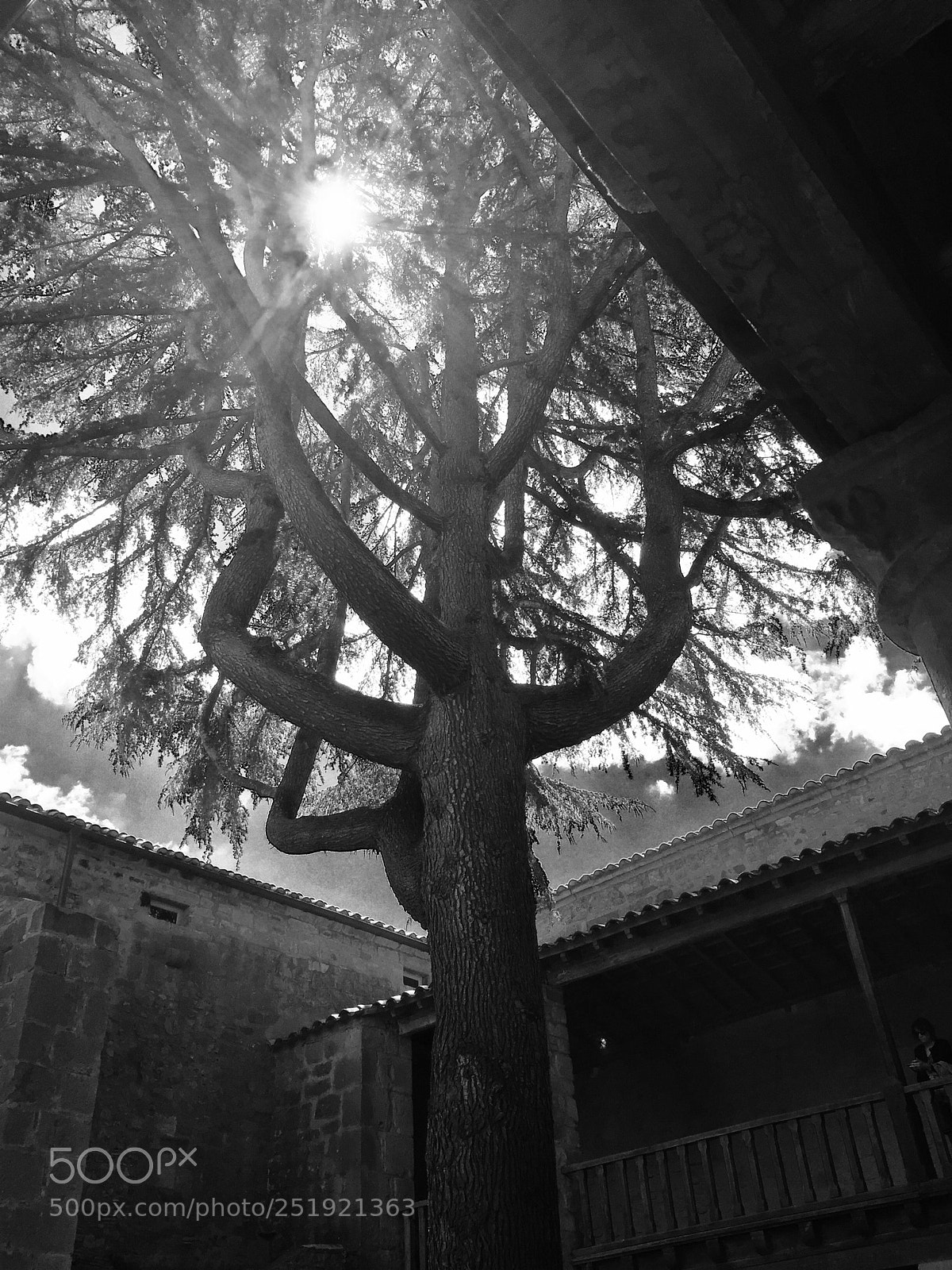 Apple iPhone 6 sample photo. Untitled photography