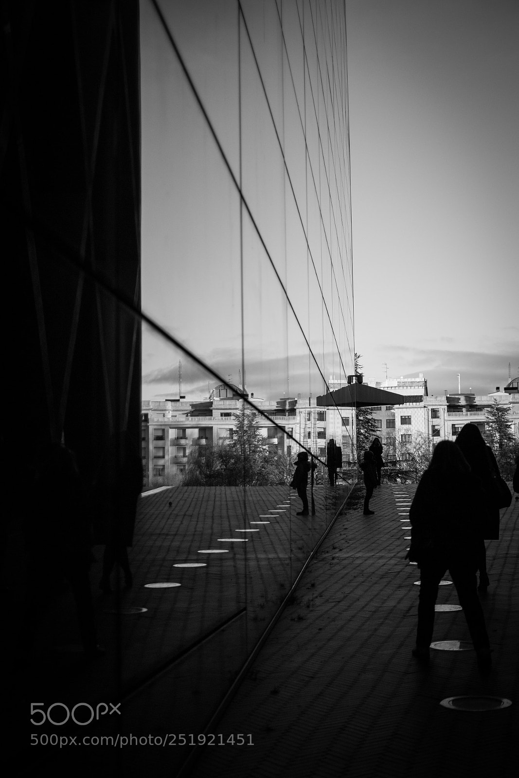 Nikon D3100 sample photo. Museo de la evoluci photography