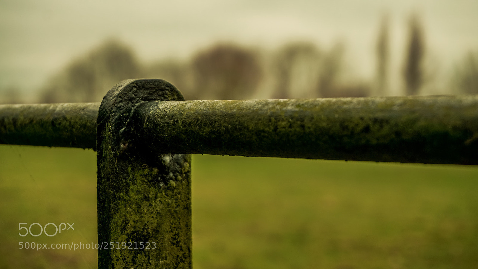 Sony a6000 sample photo. Country fence photography