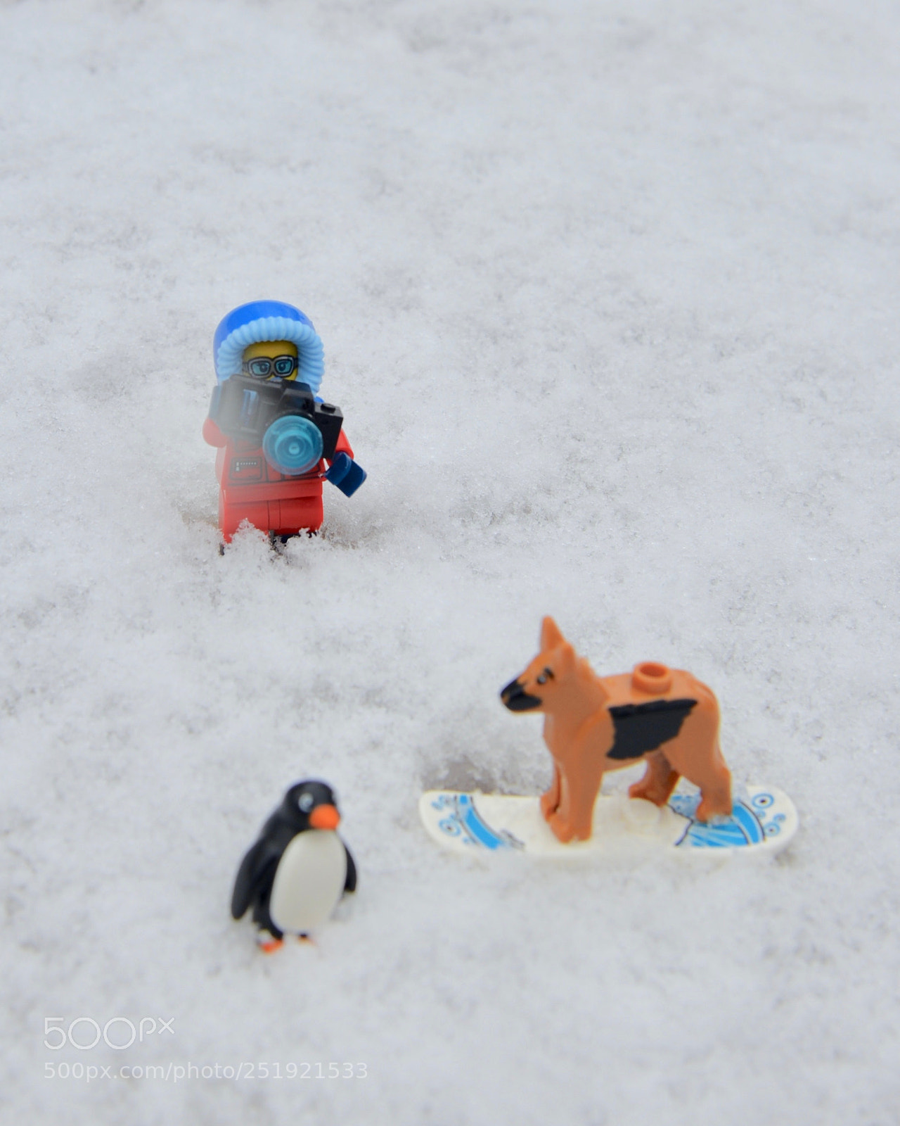 Nikon D610 sample photo. Snow day! photography