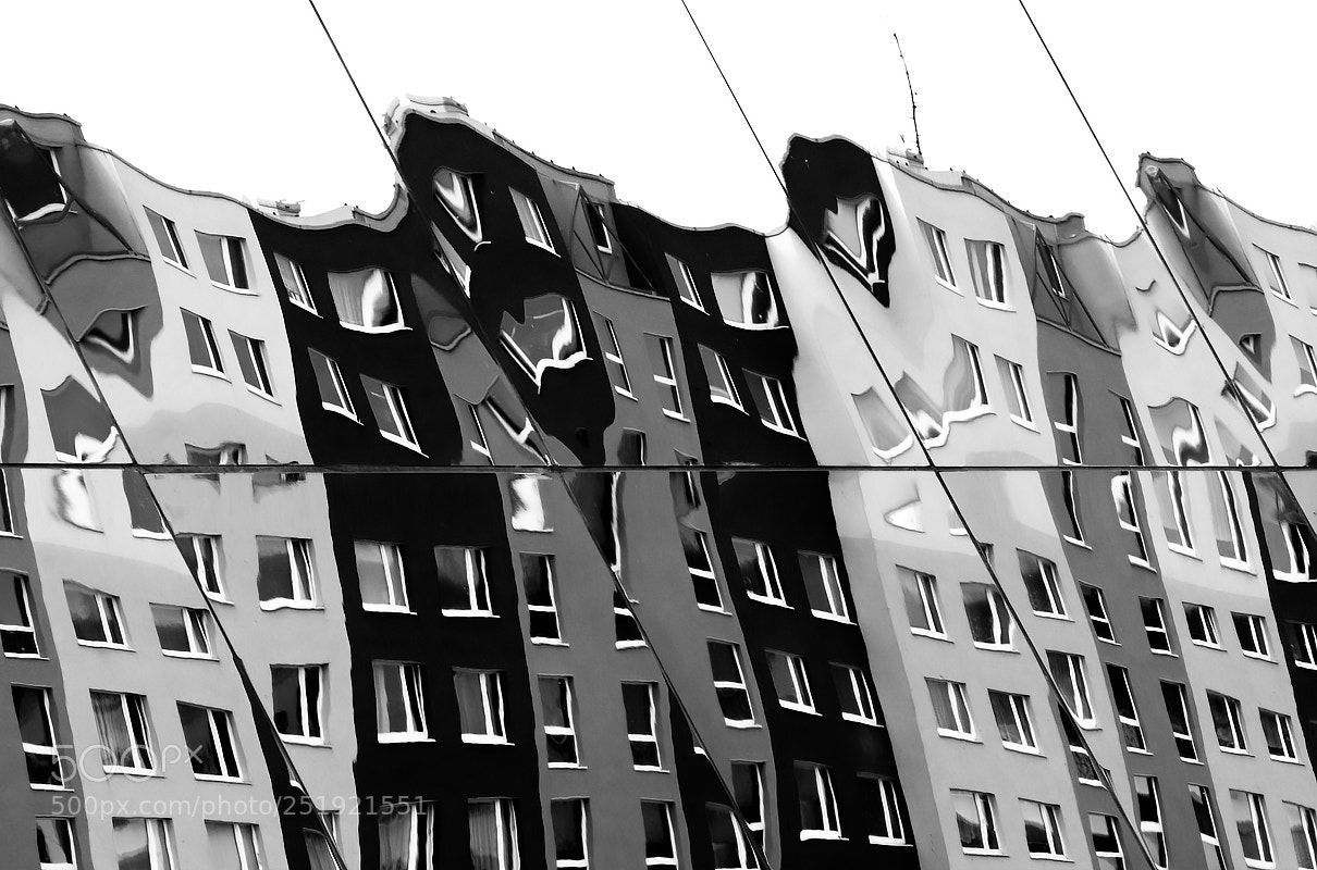 Nikon D500 sample photo. Jamas bw-029 photography