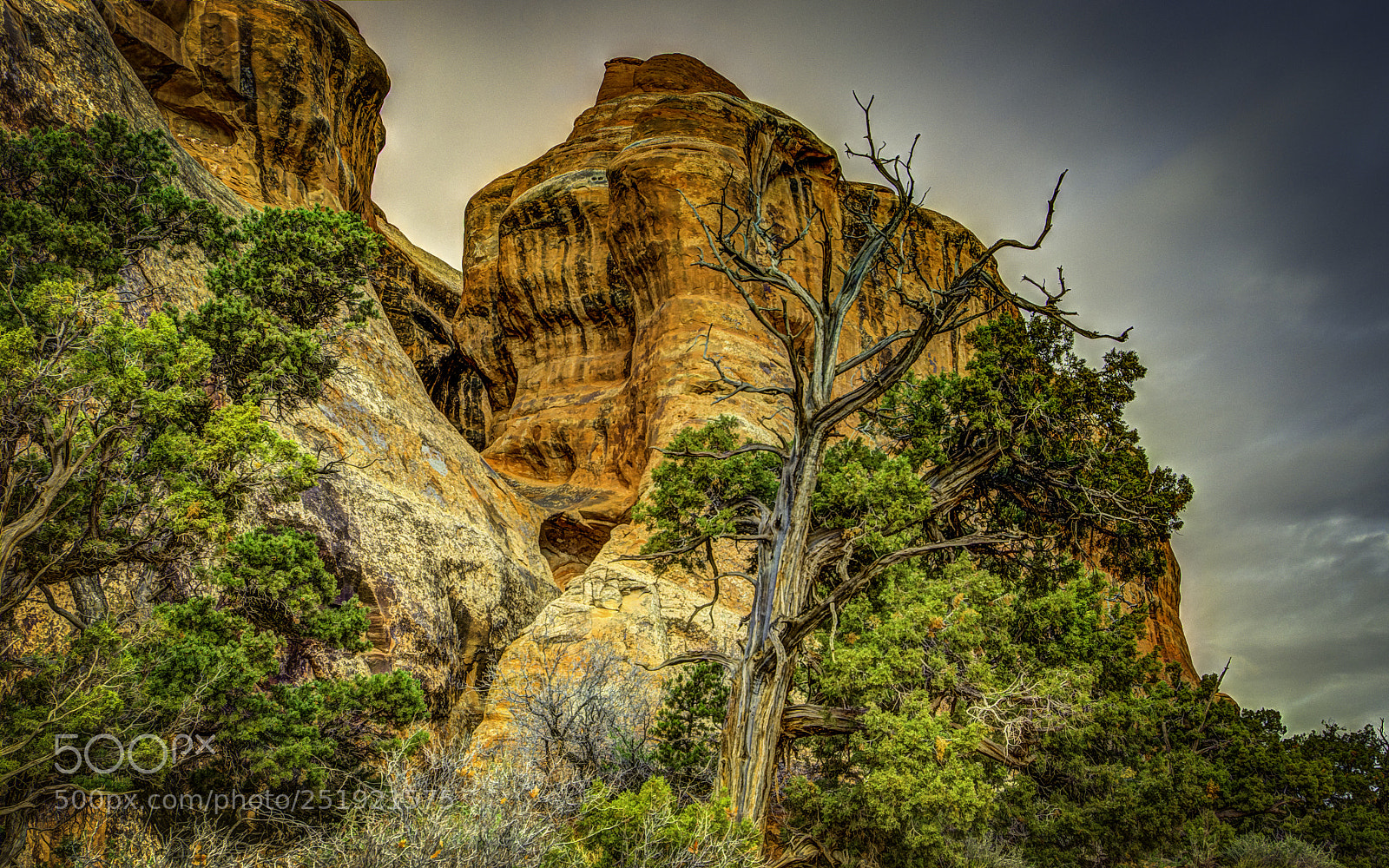 Nikon D7200 sample photo. Heart of stone photography