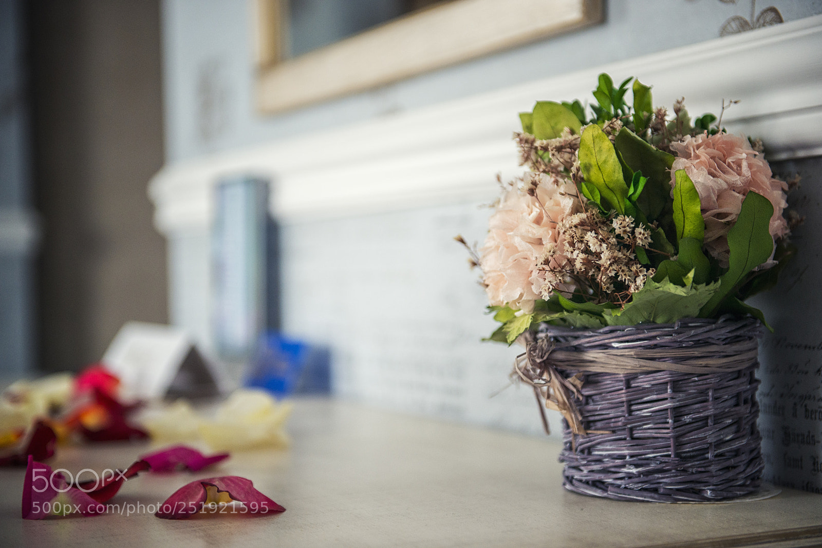 Nikon D800 sample photo. Beautiful hyacinth flowers in photography