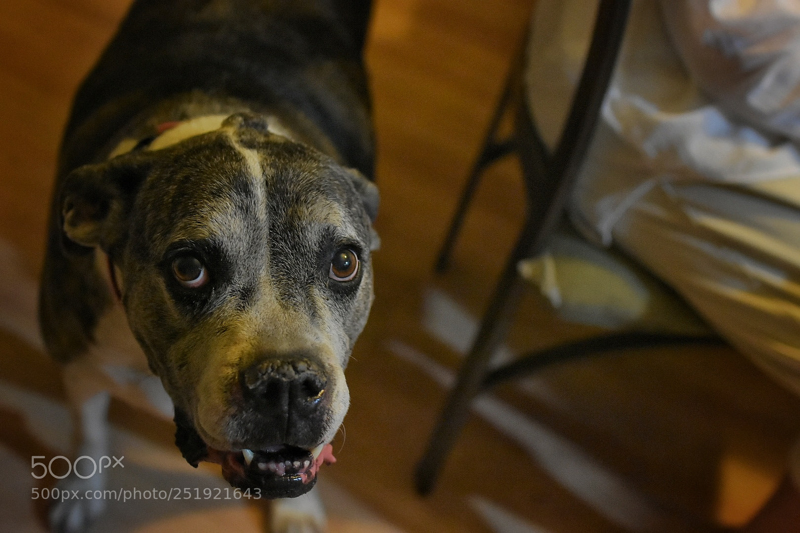 Nikon D7200 sample photo. Untitled photography