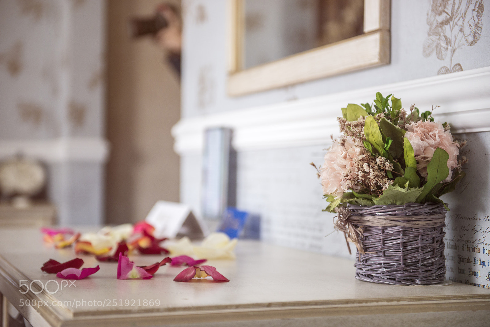 Nikon D800 sample photo. Beautiful hyacinth flowers in photography