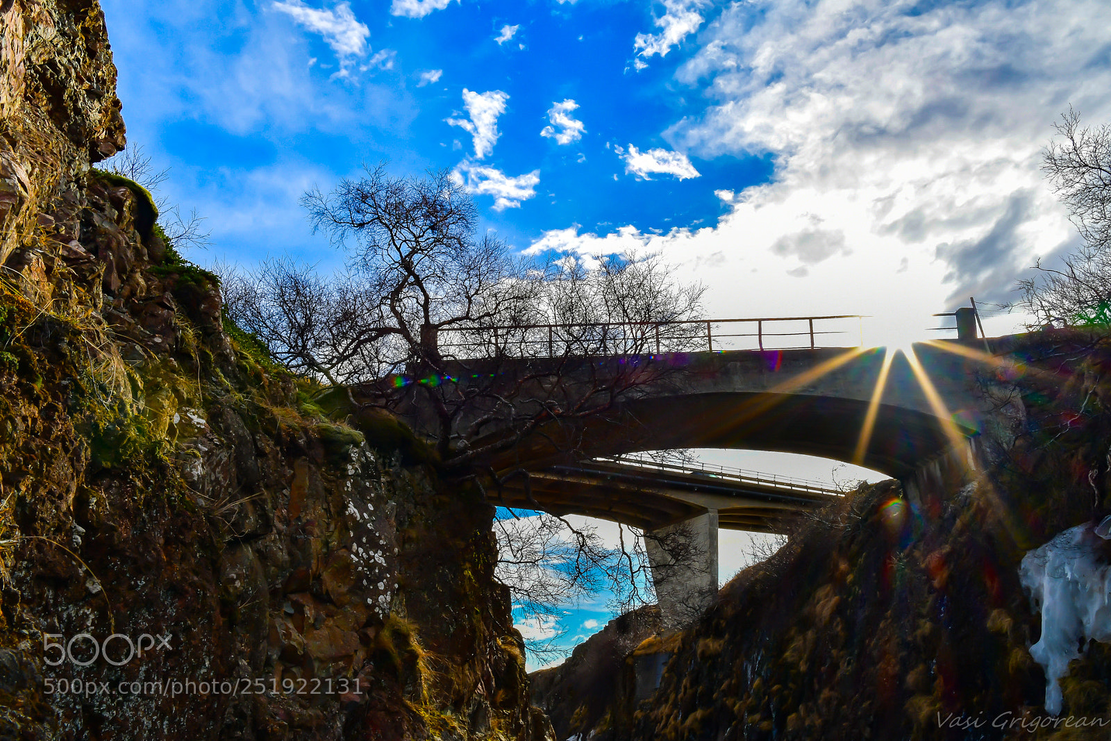 Nikon D7500 sample photo. Bridge photography