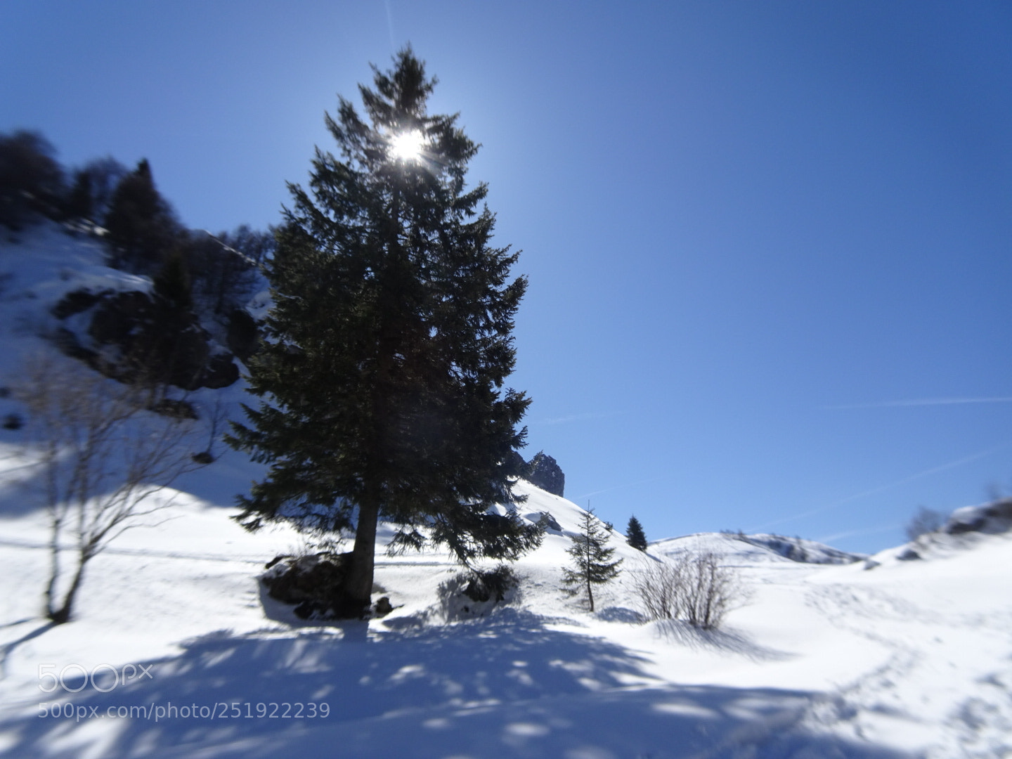 Sony Cyber-shot DSC-HX80 sample photo. Albero di natale? photography
