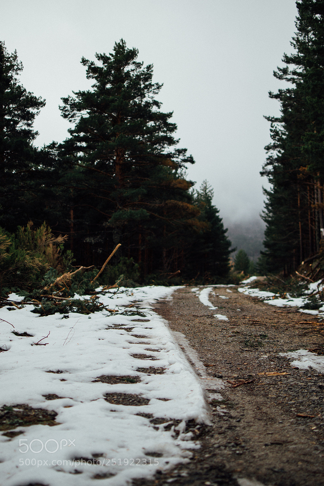Nikon D3100 sample photo. Picos de urbi n photography