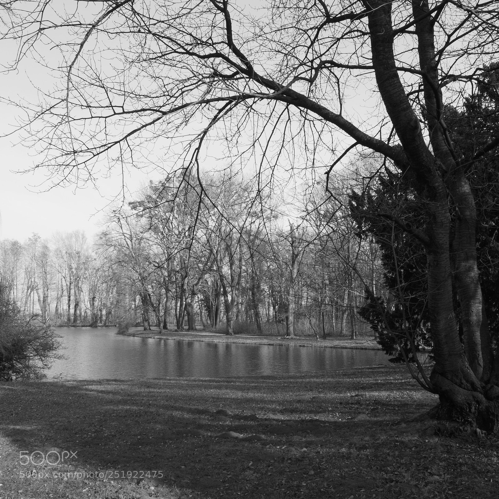 Olympus PEN-F sample photo. 34 photography