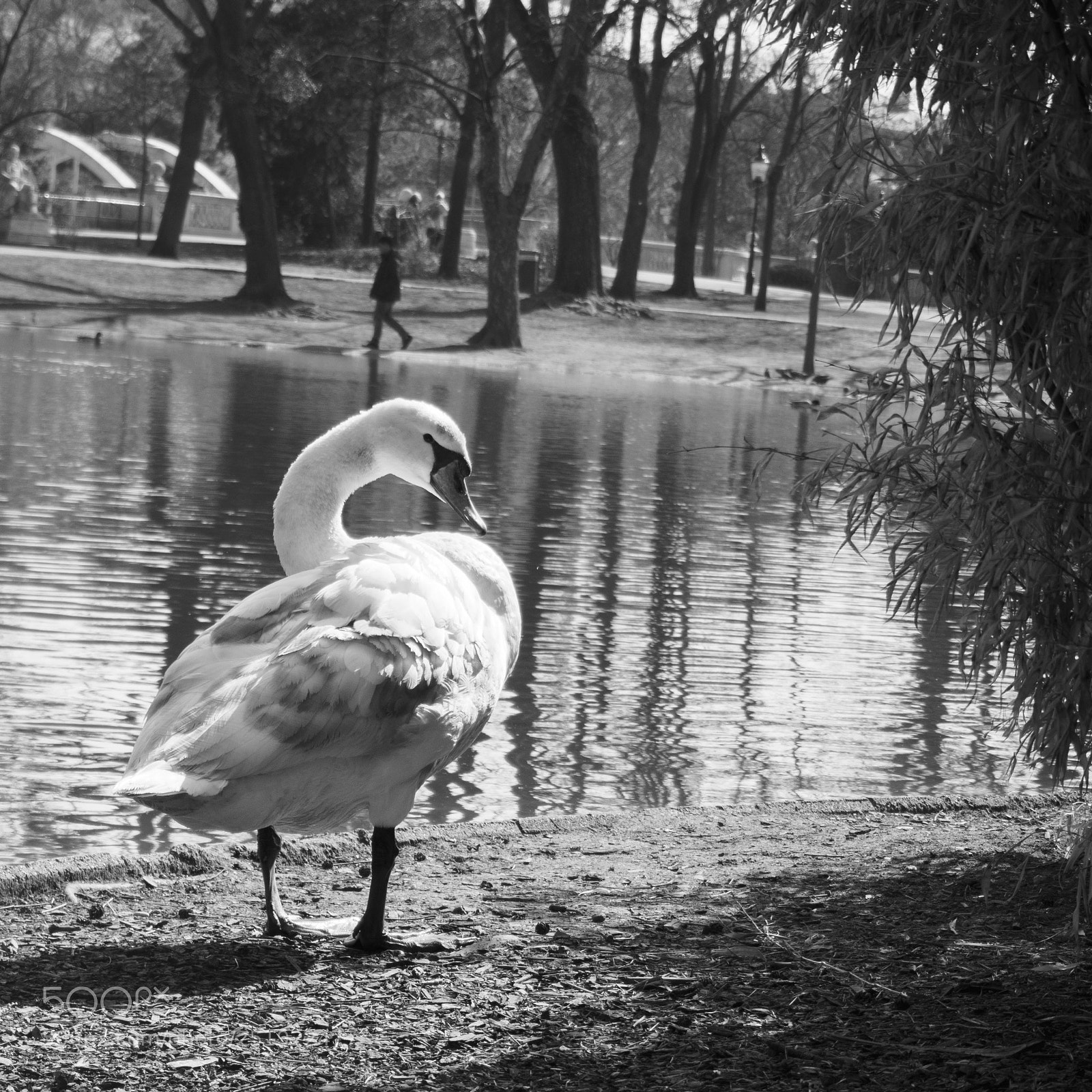 Olympus PEN-F sample photo. 35 photography