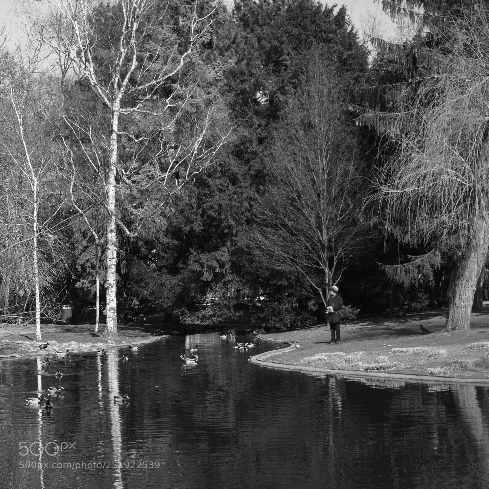Olympus PEN-F sample photo. 36 photography