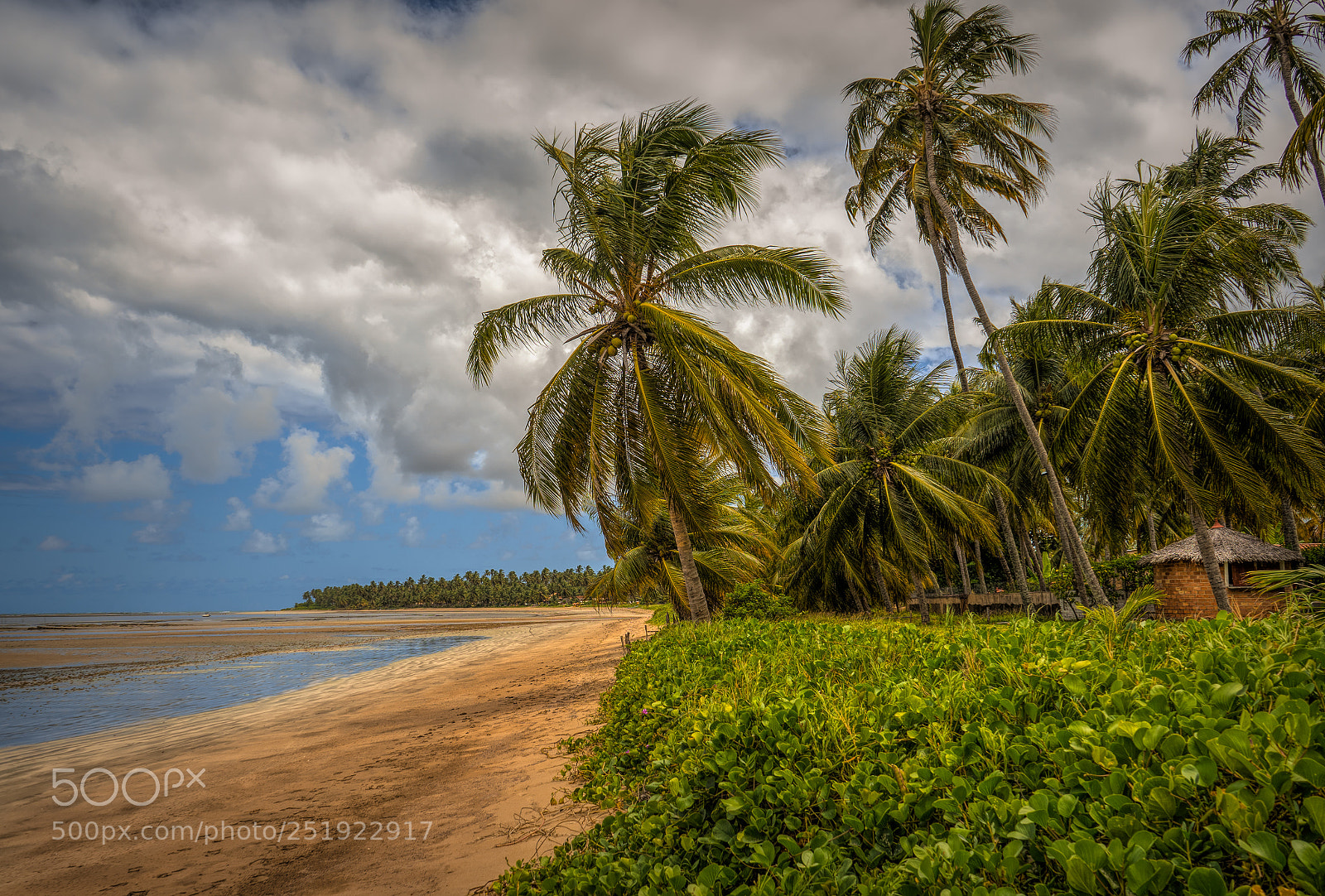 Sony a7 II sample photo. Japaratinga beach photography