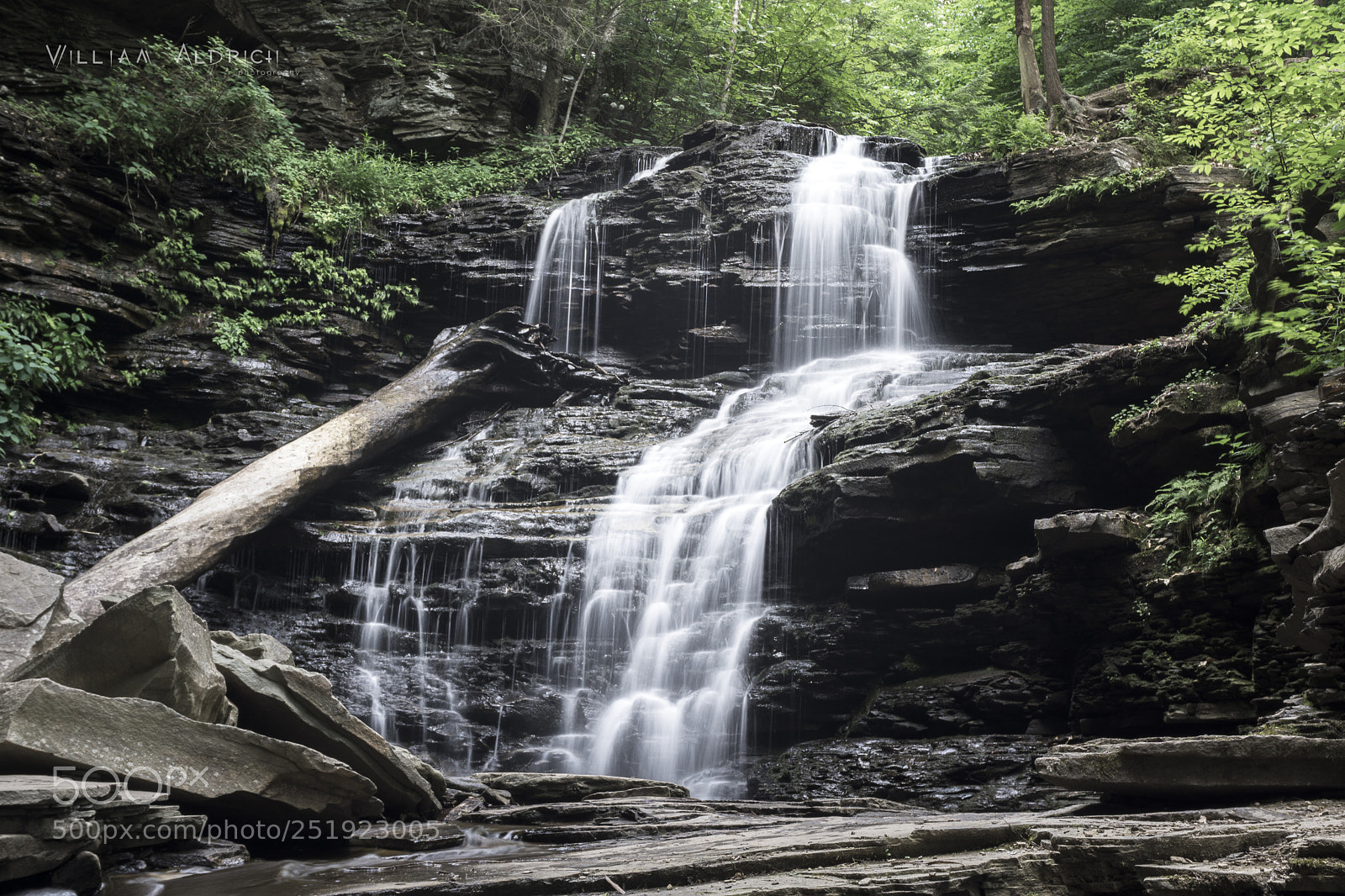 Sony a6000 sample photo. Natural serenity photography