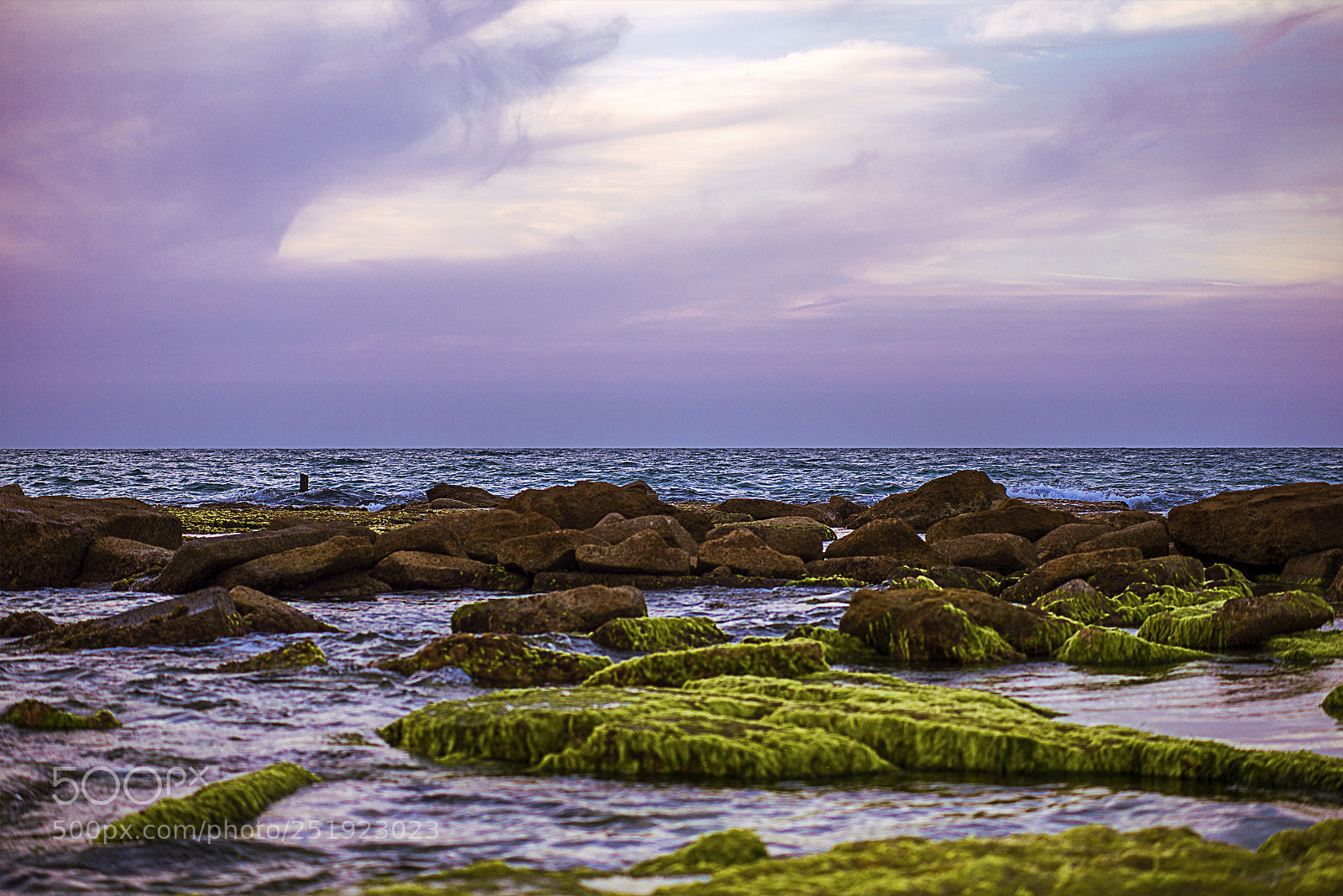 Nikon D600 sample photo. Twilight by the sea photography