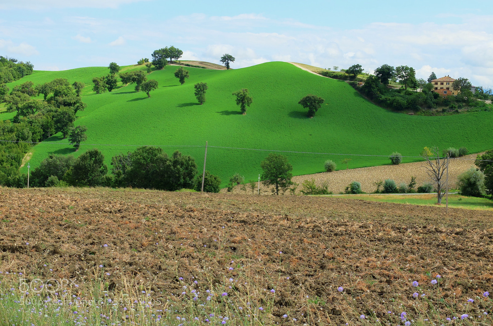 Fujifilm X20 sample photo. Magic hills photography