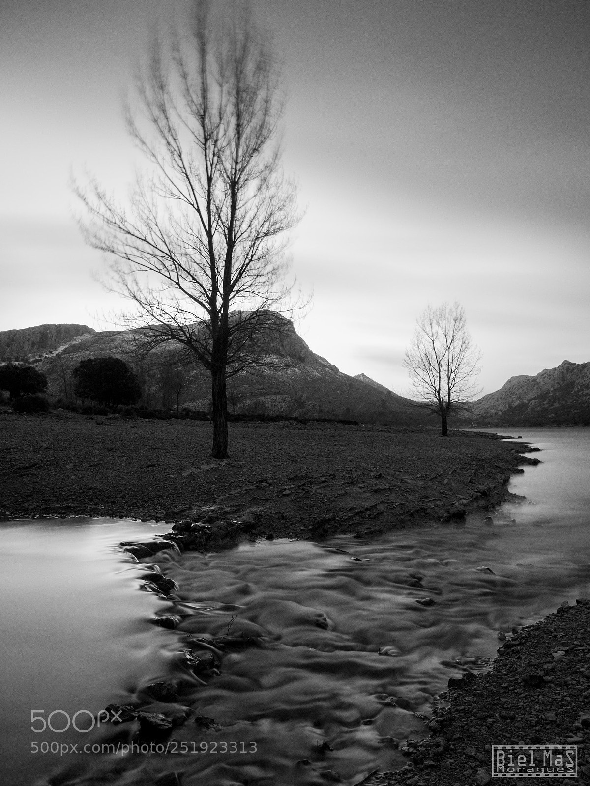 Olympus OM-D E-M5 II sample photo. Soledad photography