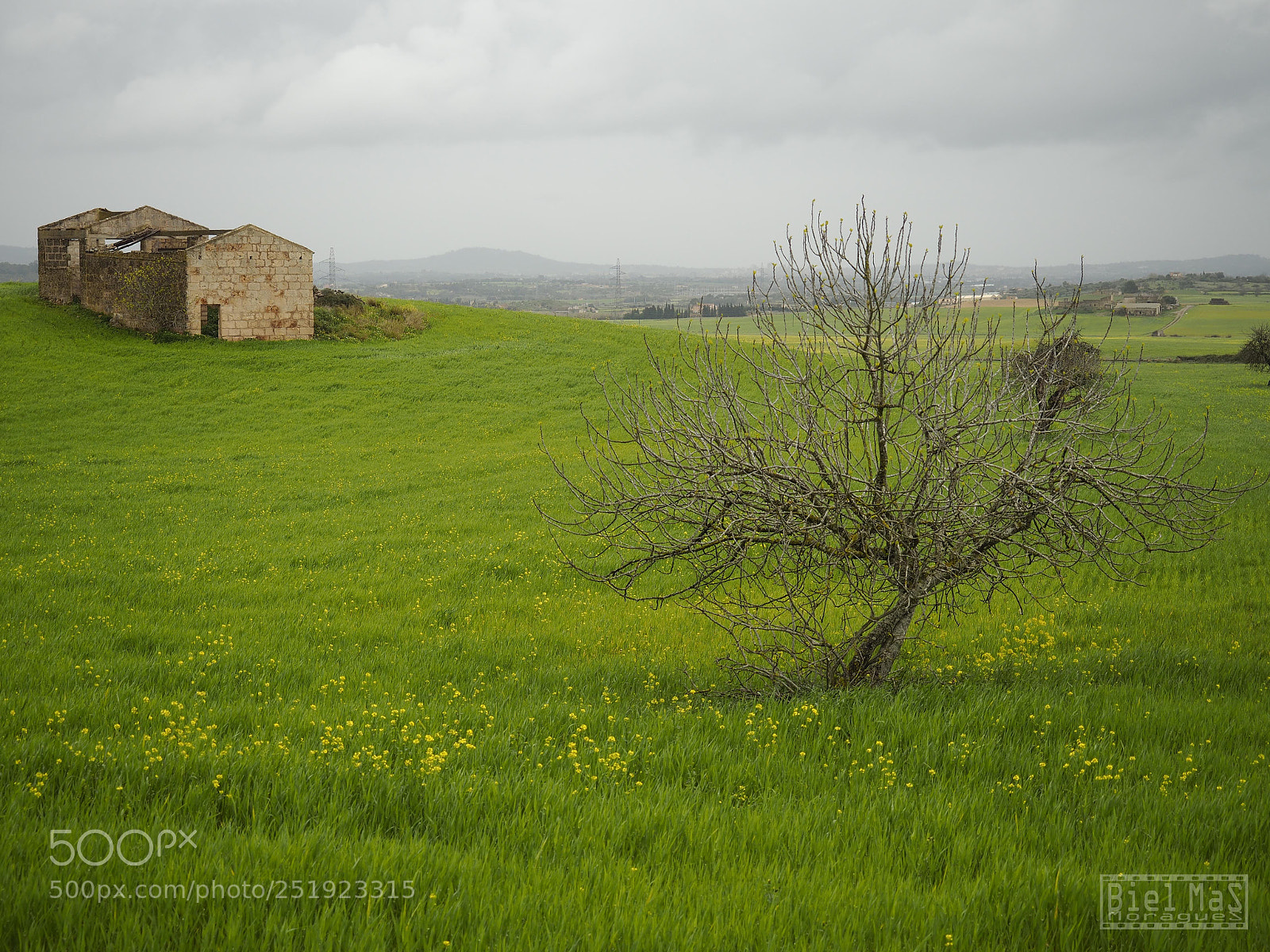 Olympus OM-D E-M5 II sample photo. Compañía photography