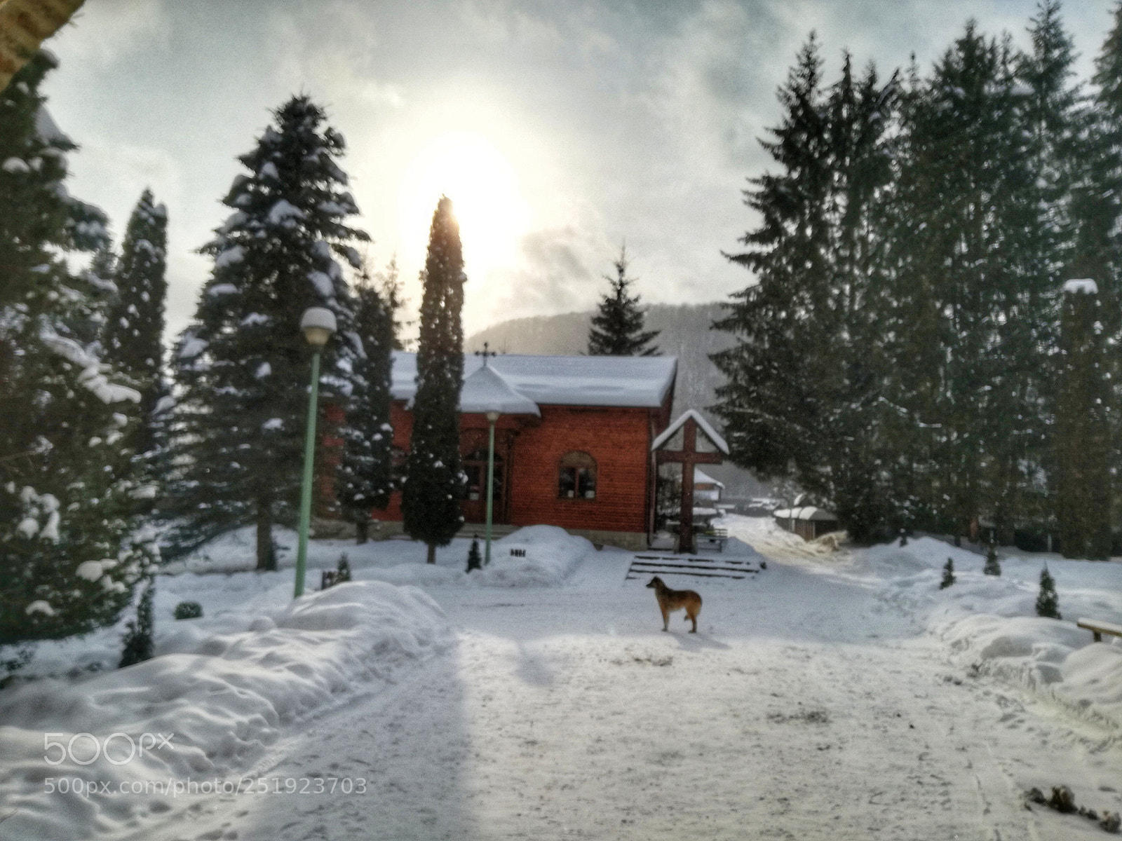 HUAWEI P9 LITE sample photo. Untitled photography