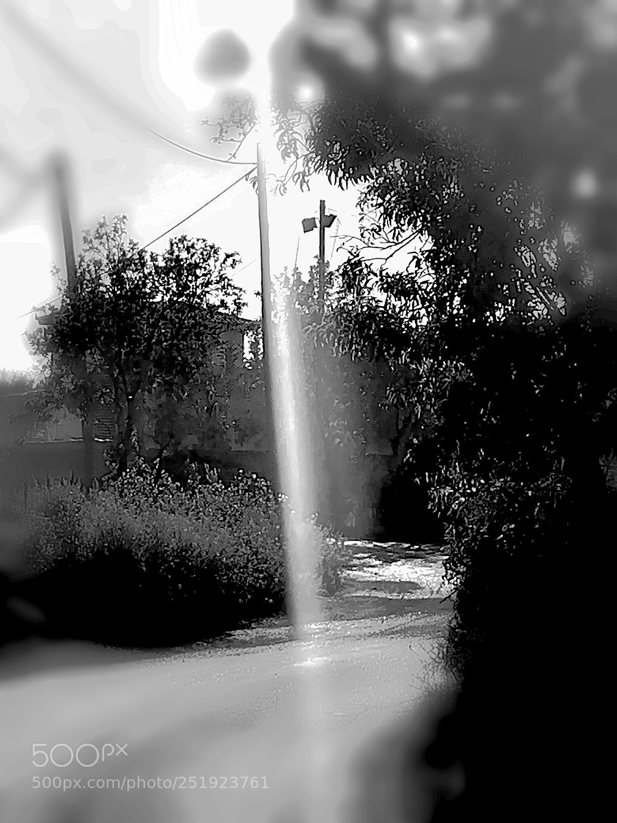 HUAWEI P10 lite sample photo. Reach the light photography