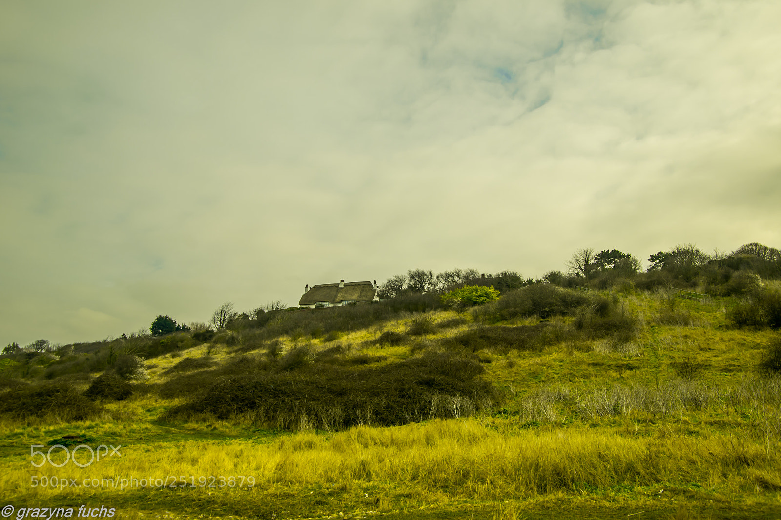 Nikon D3300 sample photo. I put a lot photography