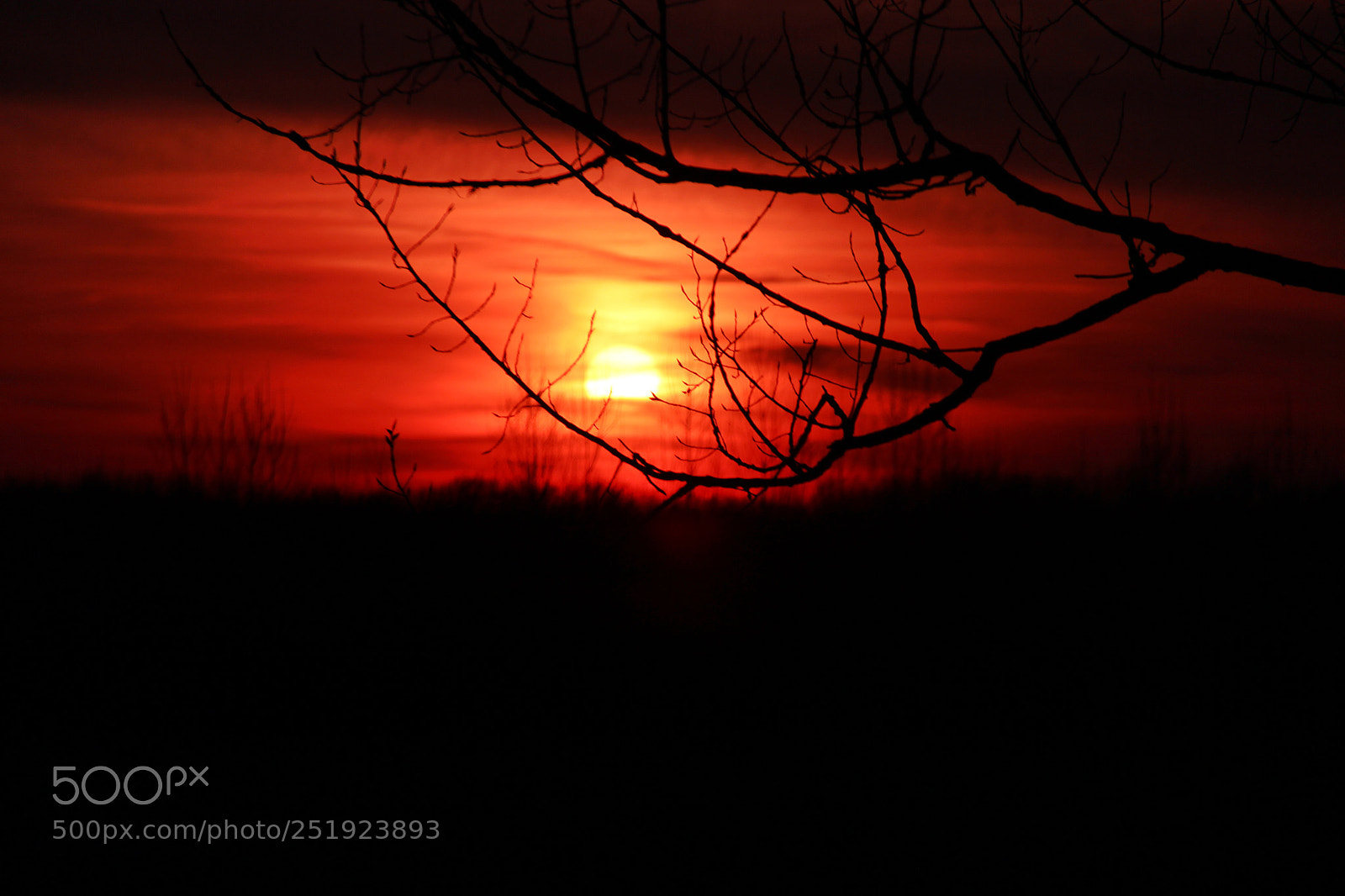 Canon EOS 600D (Rebel EOS T3i / EOS Kiss X5) sample photo. Sunset photography