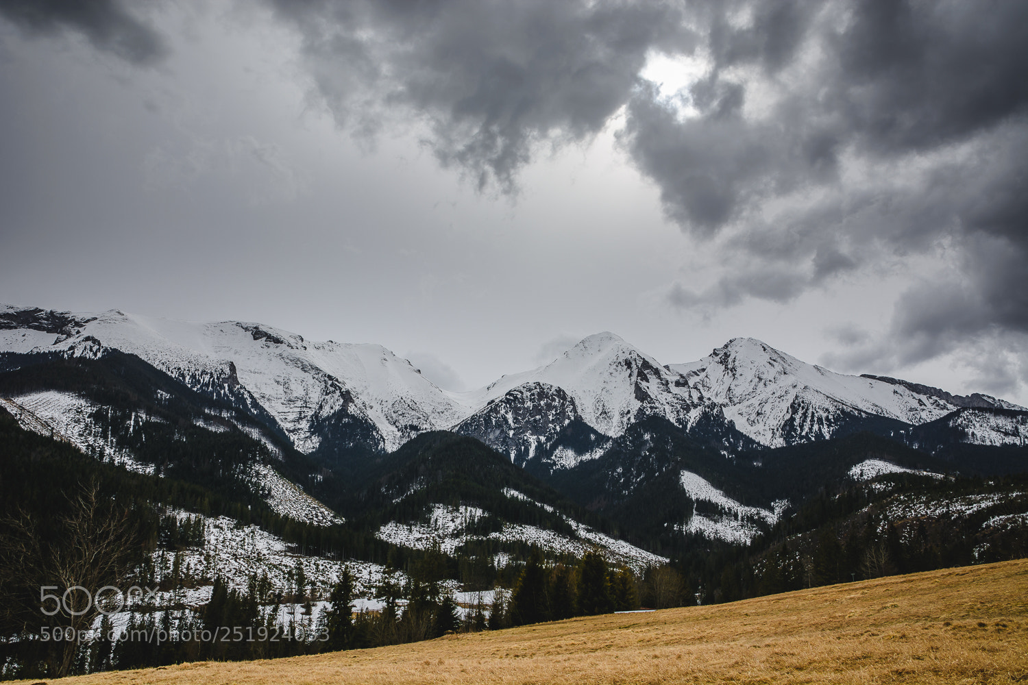 Nikon D7100 sample photo. Belianské tatry photography