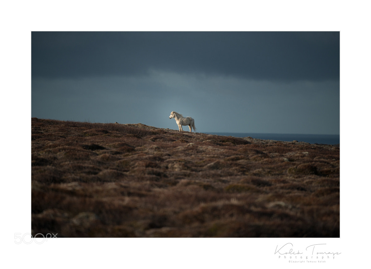 Nikon D800 sample photo. Iceland photography