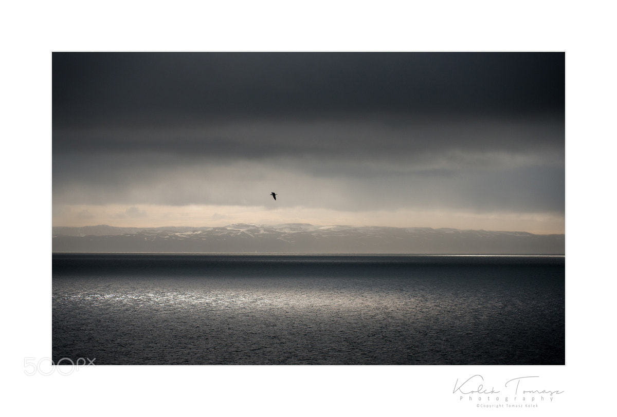 Nikon D800 sample photo. Iceland photography