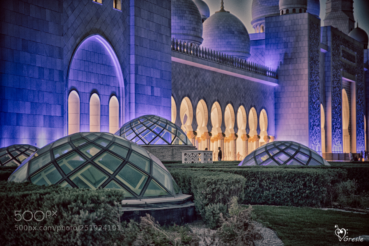 Nikon D610 sample photo. Abu dhabi sjeik zayed photography